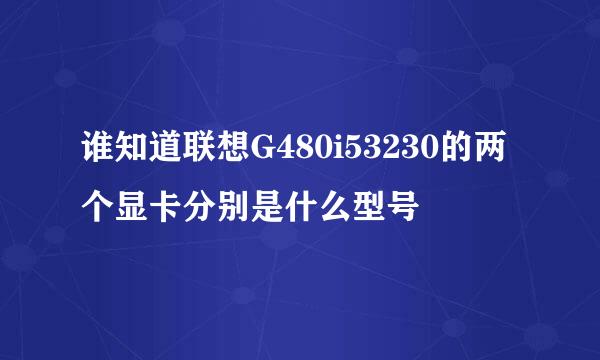 谁知道联想G480i53230的两个显卡分别是什么型号