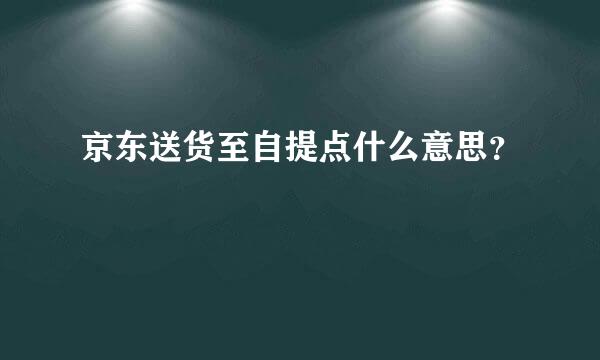 京东送货至自提点什么意思？