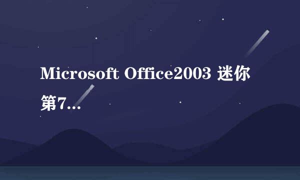 Microsoft Office2003 迷你第7版(简体中文最终完美版)