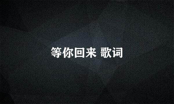 等你回来 歌词