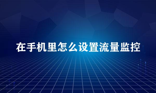 在手机里怎么设置流量监控