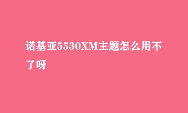 诺基亚5530XM主题怎么用不了呀