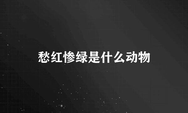 愁红惨绿是什么动物