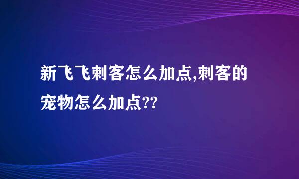 新飞飞刺客怎么加点,刺客的宠物怎么加点??