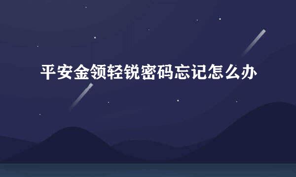 平安金领轻锐密码忘记怎么办