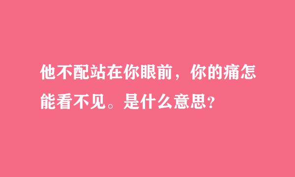 他不配站在你眼前，你的痛怎能看不见。是什么意思？