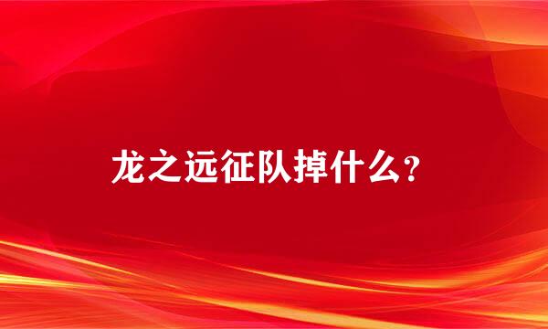 龙之远征队掉什么？