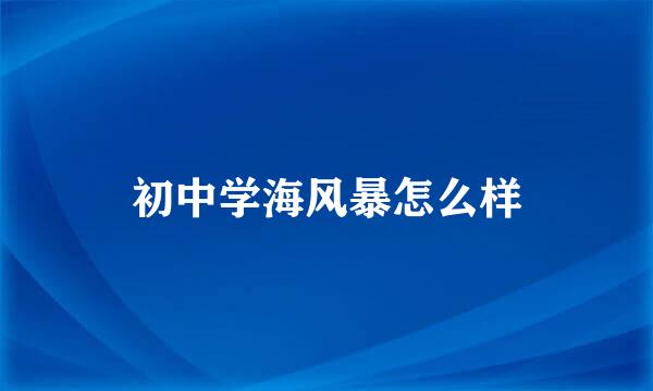 初中学海风暴怎么样