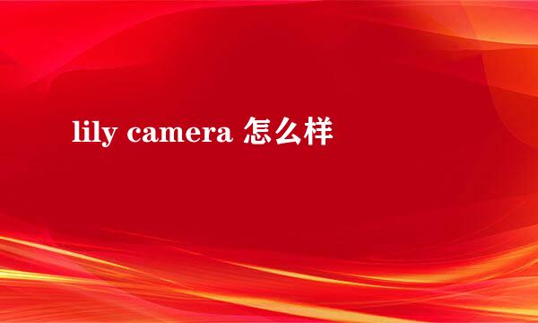 lily camera 怎么样