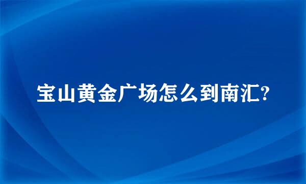 宝山黄金广场怎么到南汇?