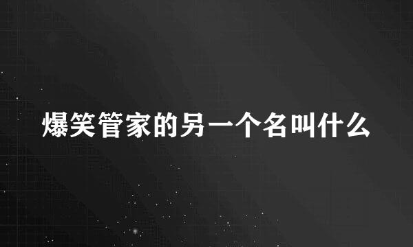 爆笑管家的另一个名叫什么