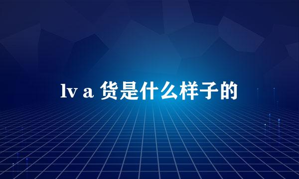 lv a 货是什么样子的