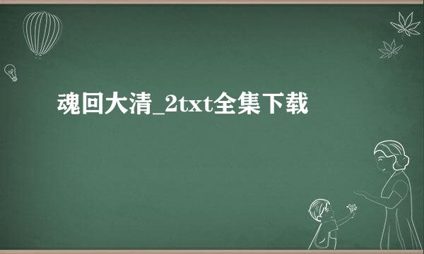 魂回大清_2txt全集下载