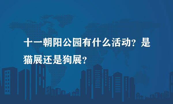 十一朝阳公园有什么活动？是猫展还是狗展？