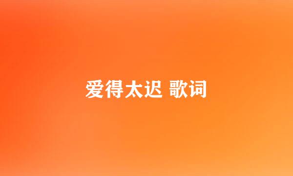 爱得太迟 歌词