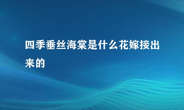 四季垂丝海棠是什么花嫁接出来的