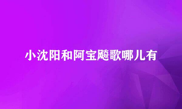 小沈阳和阿宝飚歌哪儿有