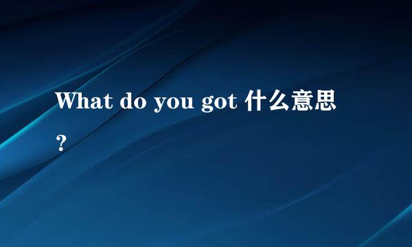 What do you got 什么意思？