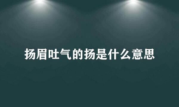 扬眉吐气的扬是什么意思