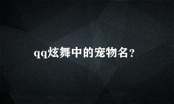 qq炫舞中的宠物名？