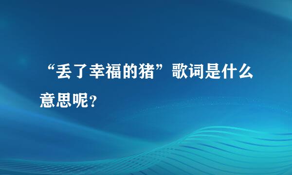 “丢了幸福的猪”歌词是什么意思呢？