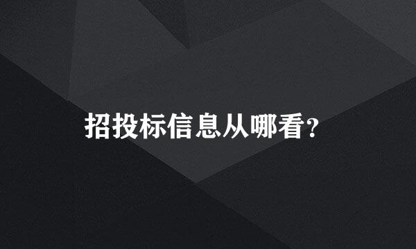 招投标信息从哪看？