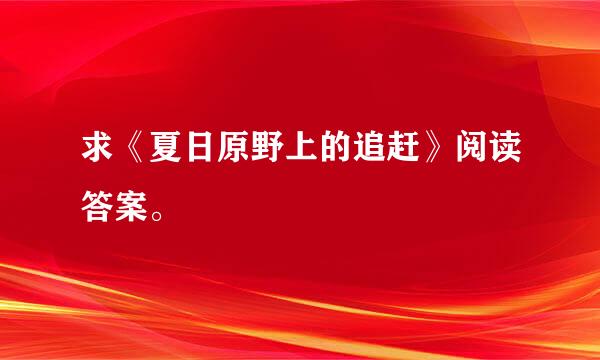 求《夏日原野上的追赶》阅读答案。