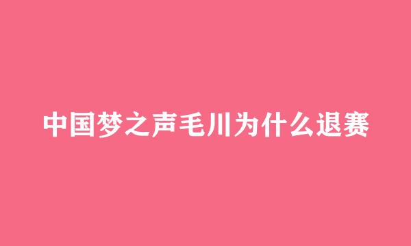 中国梦之声毛川为什么退赛