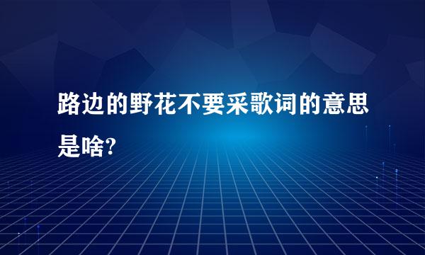 路边的野花不要采歌词的意思是啥?