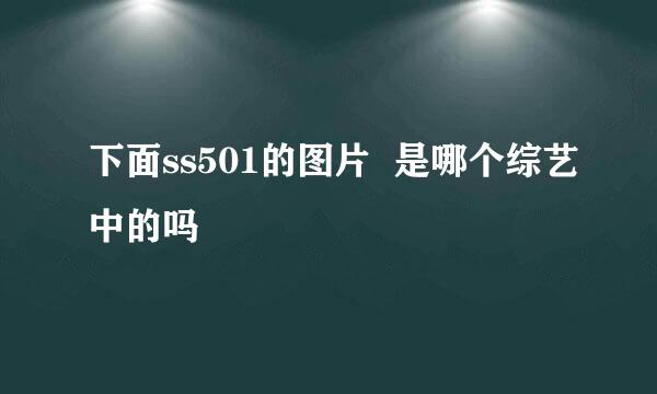 下面ss501的图片  是哪个综艺中的吗