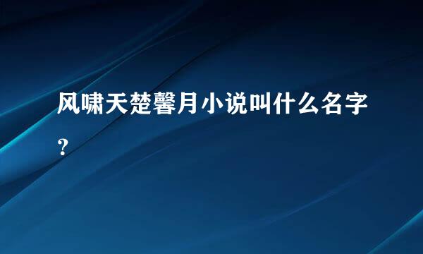 风啸天楚馨月小说叫什么名字？