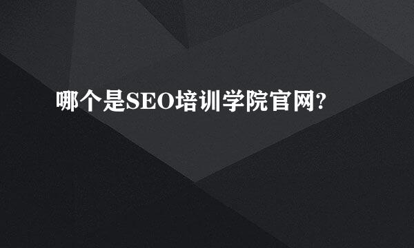 哪个是SEO培训学院官网?