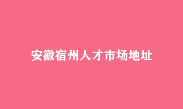 安徽宿州人才市场地址