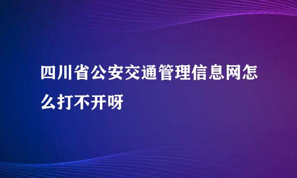 四川省公安交通管理信息网怎么打不开呀