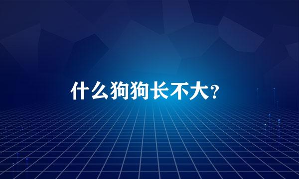 什么狗狗长不大？