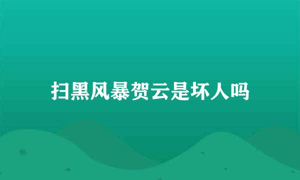 扫黑风暴贺云是坏人吗