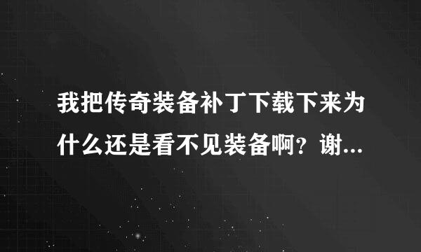 我把传奇装备补丁下载下来为什么还是看不见装备啊？谢谢了，大神帮忙啊