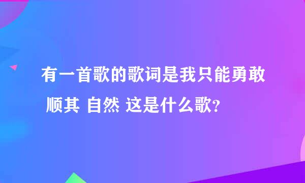 有一首歌的歌词是我只能勇敢 顺其 自然 这是什么歌？