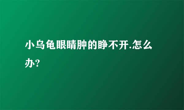 小乌龟眼睛肿的睁不开.怎么办?