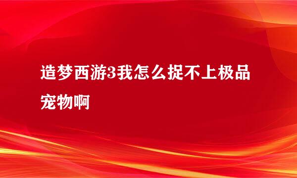 造梦西游3我怎么捉不上极品宠物啊