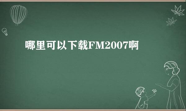 哪里可以下载FM2007啊