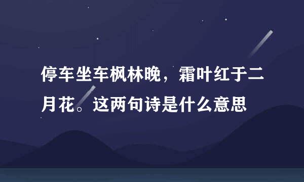 停车坐车枫林晚，霜叶红于二月花。这两句诗是什么意思