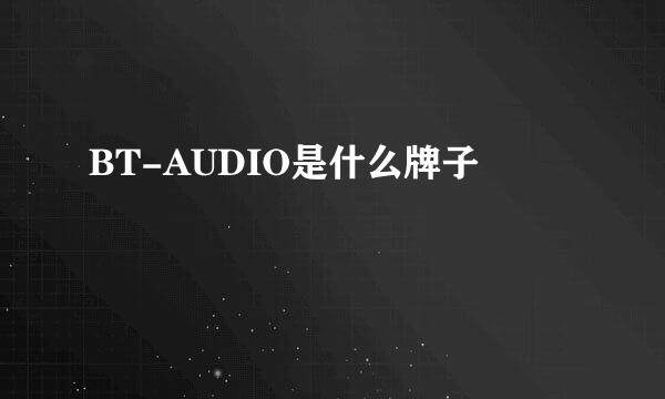 BT-AUDIO是什么牌子