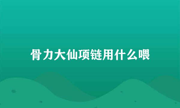 骨力大仙项链用什么喂