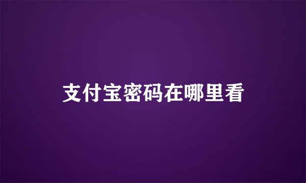 支付宝密码在哪里看