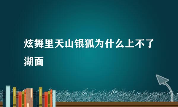 炫舞里天山银狐为什么上不了湖面