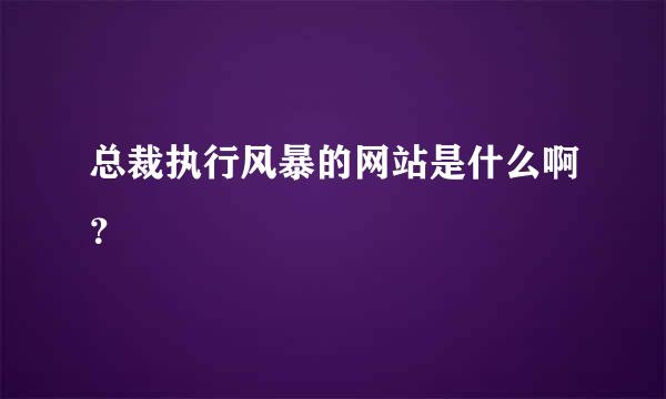 总裁执行风暴的网站是什么啊？