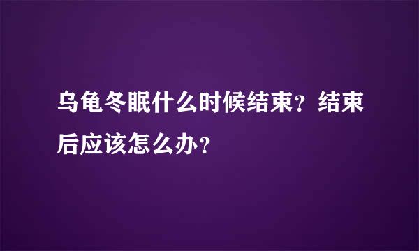 乌龟冬眠什么时候结束？结束后应该怎么办？