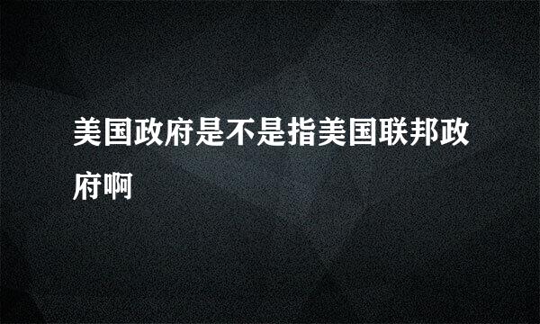 美国政府是不是指美国联邦政府啊