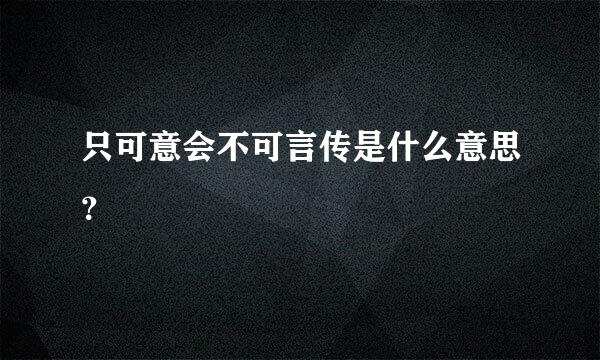 只可意会不可言传是什么意思？